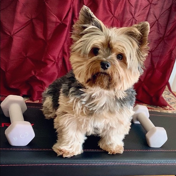 Meet your Posher, Regina - Picture 4 of 6